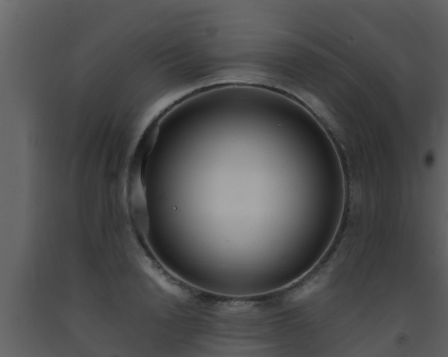 X0000093530846200710191352