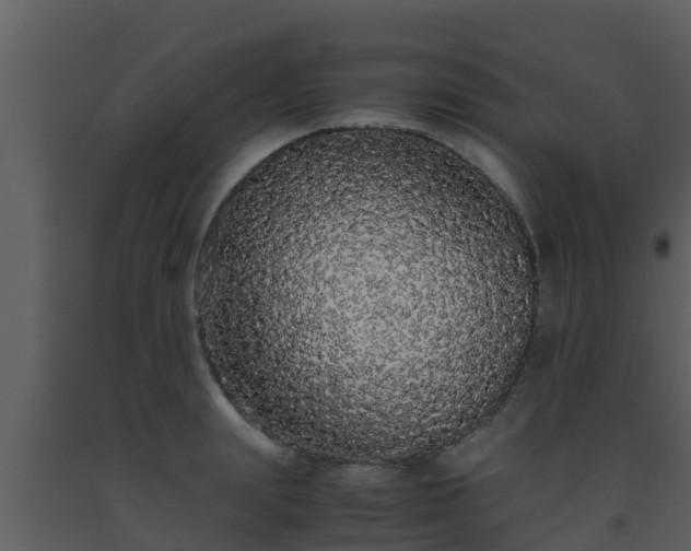 X0000093530847200710191352