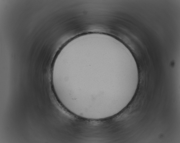 X0000093530848200710191352