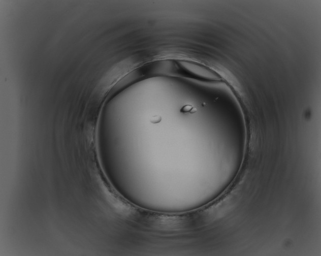 X0000093530849200710191352