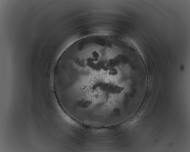 X0000093530851200710191352