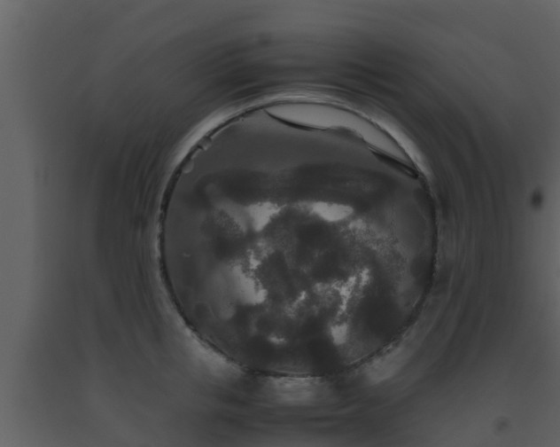 X0000093530853200710191352
