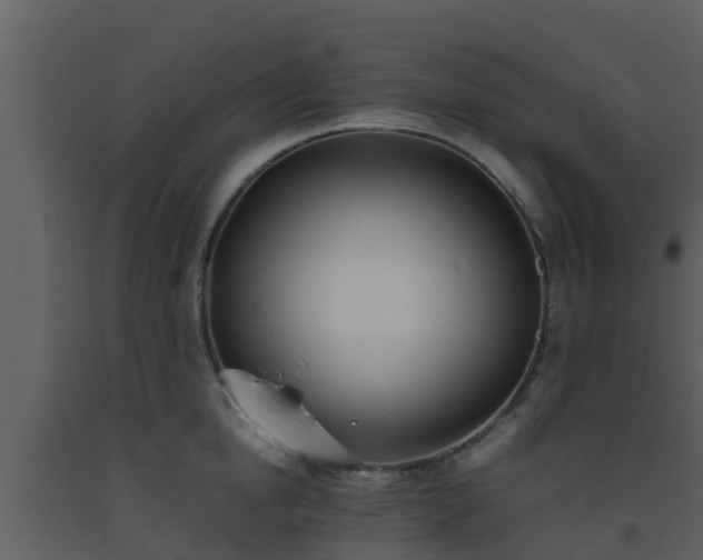 X0000093530854200710191352