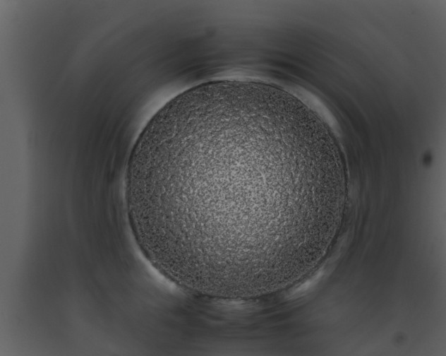 X0000093530855200710191352