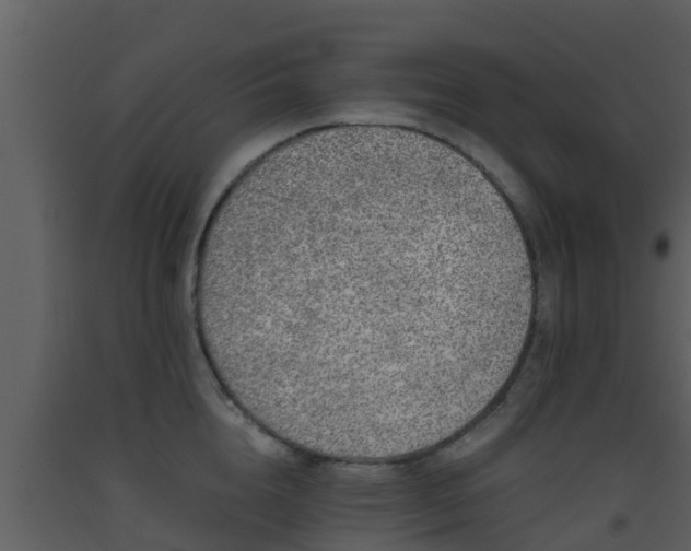 X0000093530856200710191352