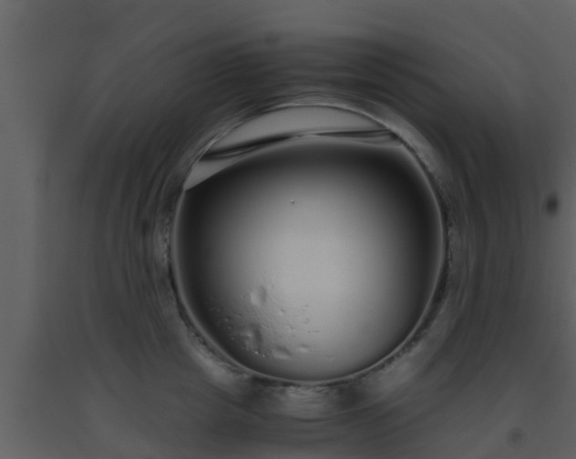 X0000093530857200710191352