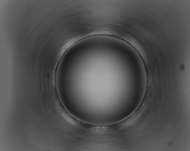 X0000093530858200710191352