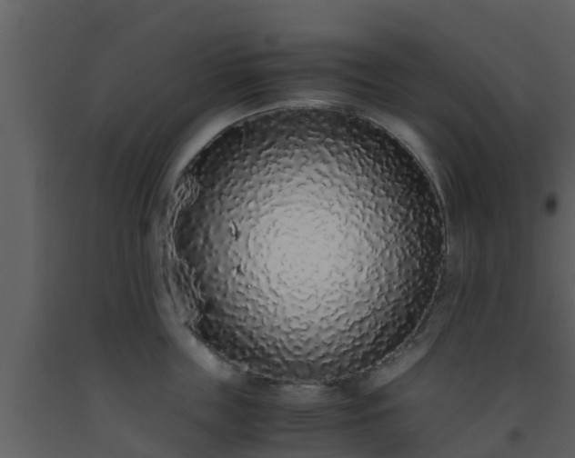 X0000093530859200710191352