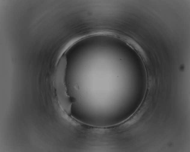 X0000093530860200710191352