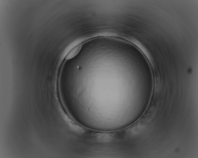 X0000093530861200710191352