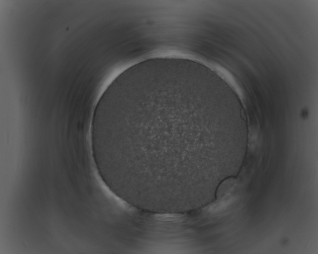 X0000093530863200710191352
