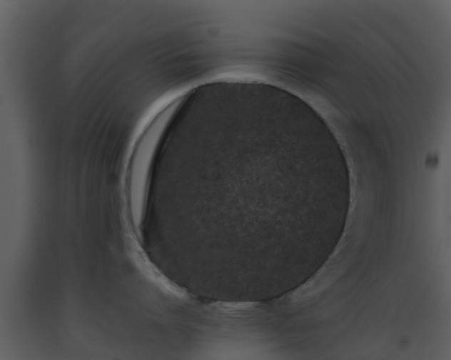 X0000093530864200710191352