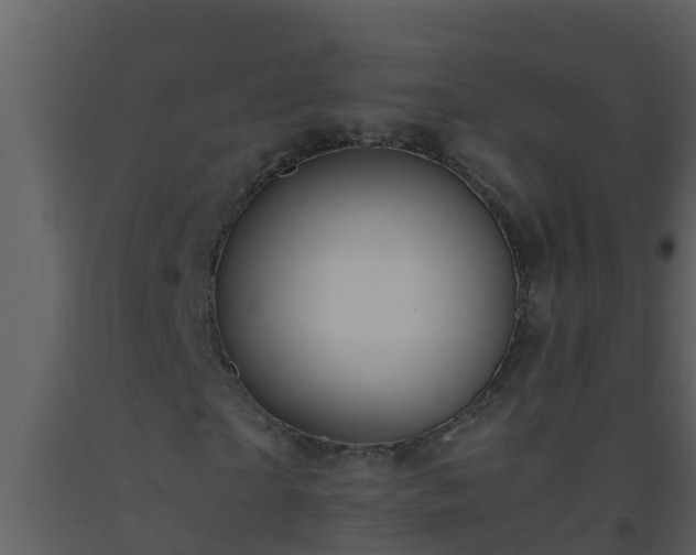 X0000093530865200710191351