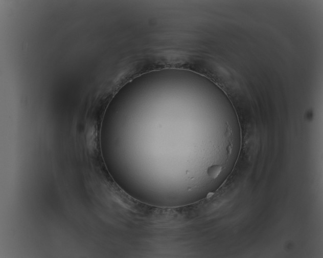 X0000093530866200710191351