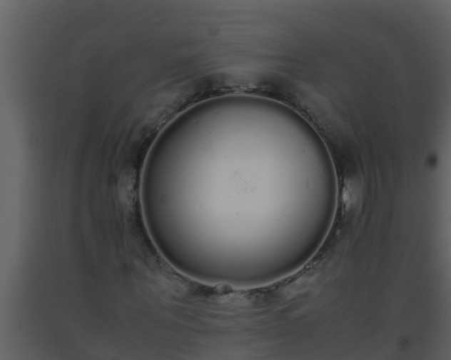 X0000093530867200710191351