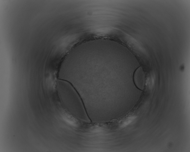 X0000093530868200710191351