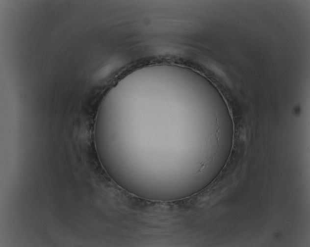 X0000093530869200710191351