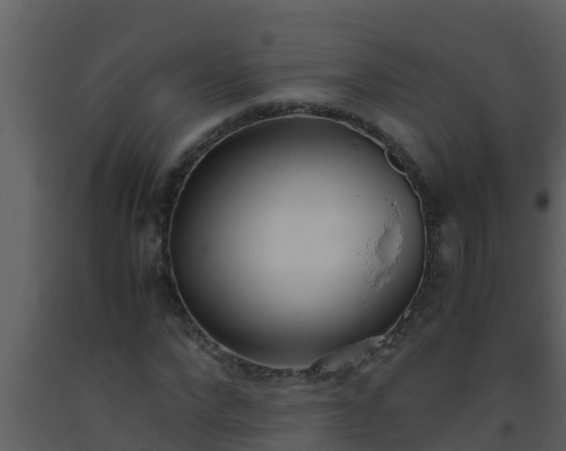 X0000093530872200710191351