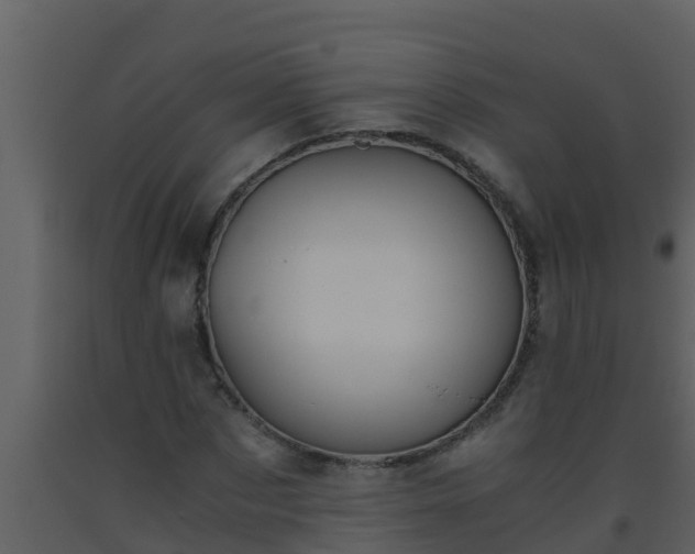 X0000093530873200710191351