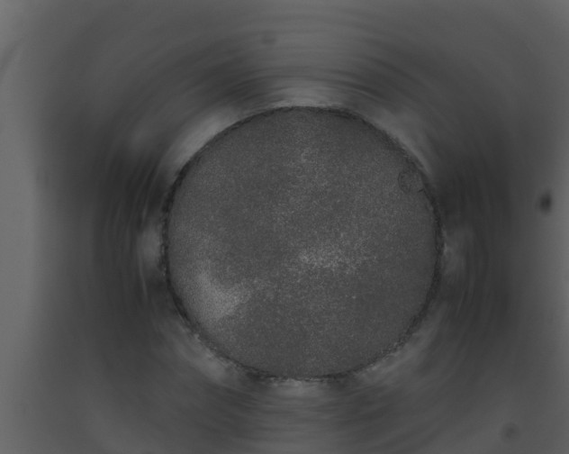 X0000093530874200710191351