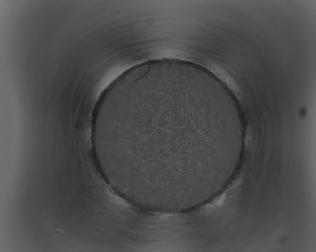 X0000093530877200710191351