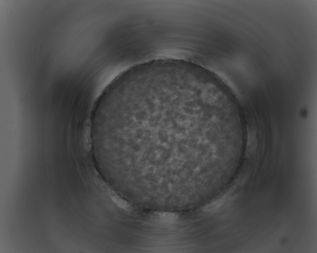 X0000093530878200710191351