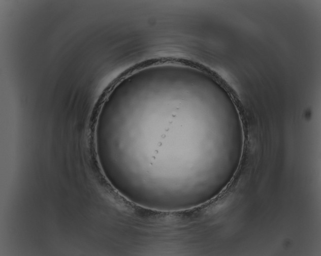 X0000093530879200710191351