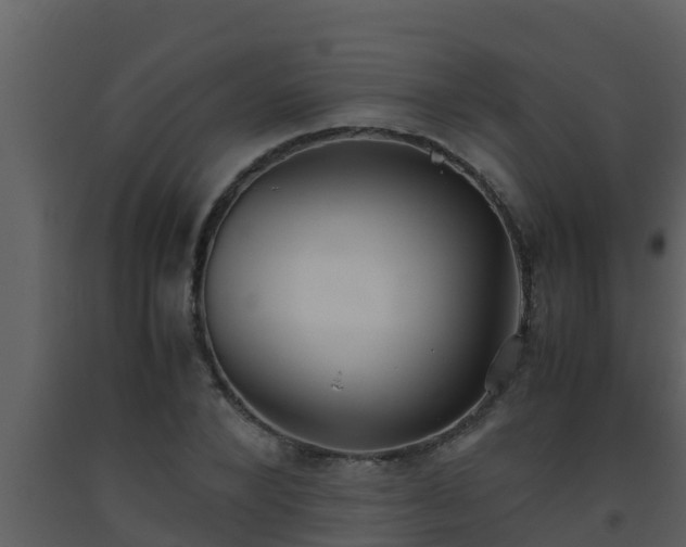 X0000093530880200710191351