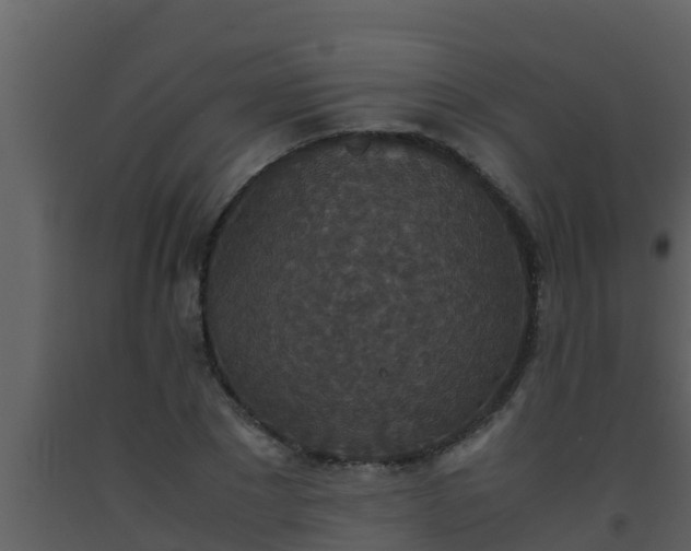X0000093530881200710191351