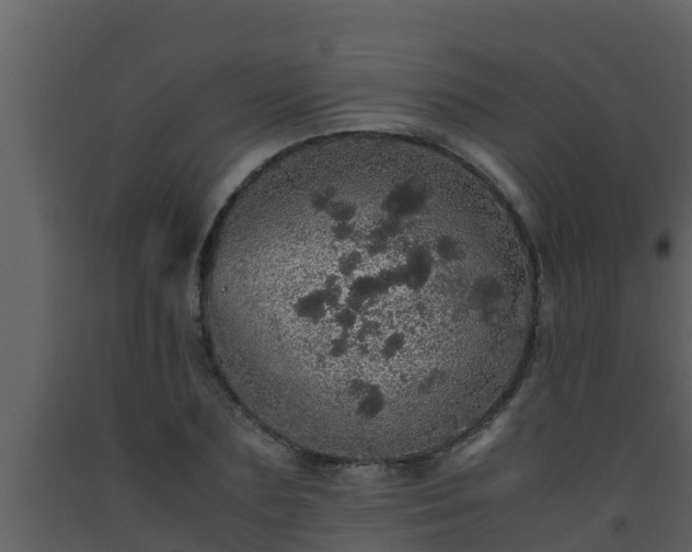 X0000093530883200710191351