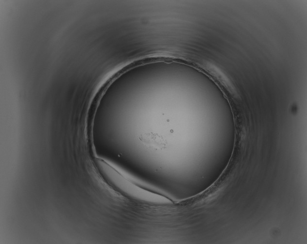 X0000093530884200710191351