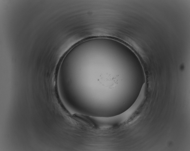 X0000093530885200710191351