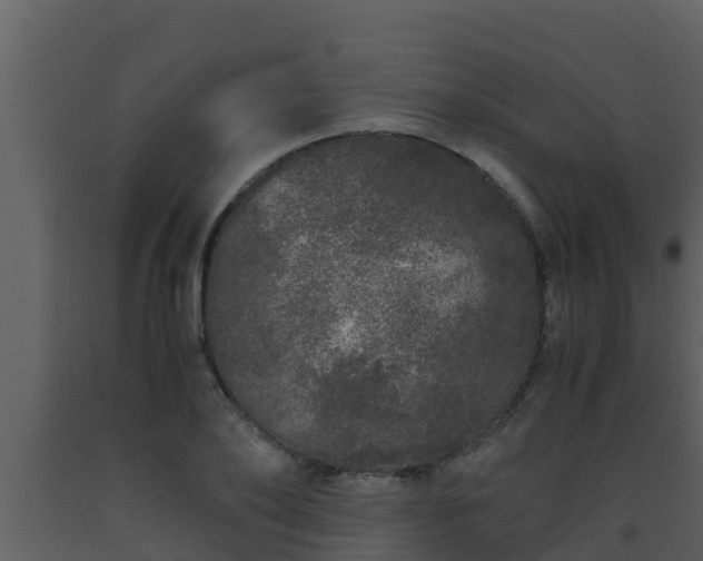X0000093530886200710191351