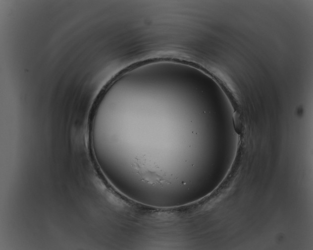 X0000093530888200710191351