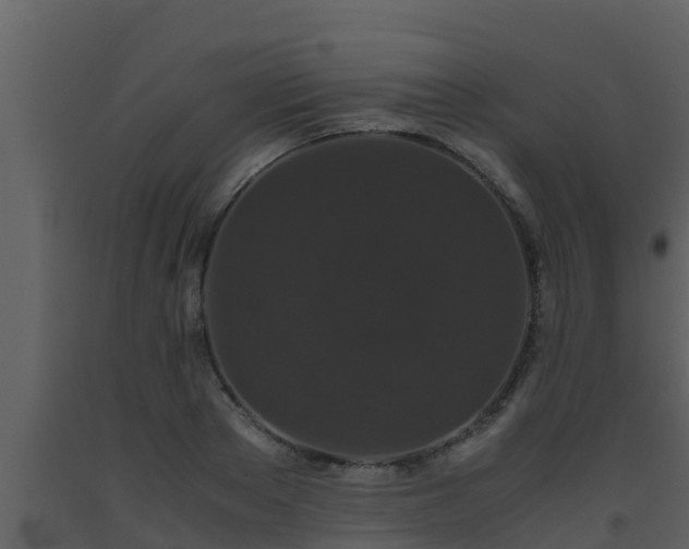 X0000093530889200710191351