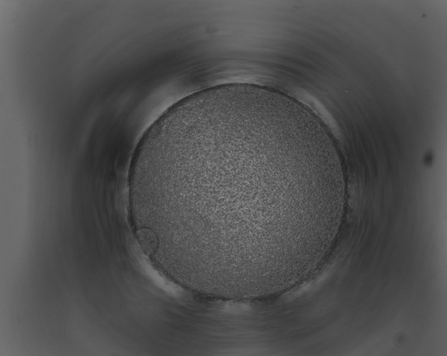 X0000093530890200710191351