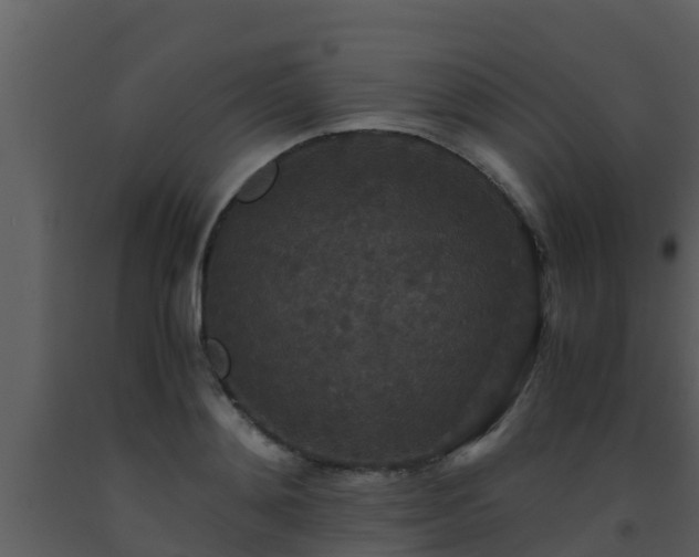 X0000093530892200710191351