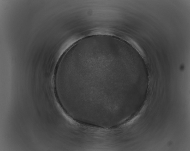 X0000093530893200710191351