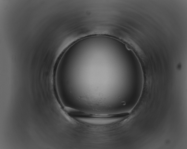 X0000093530894200710191351