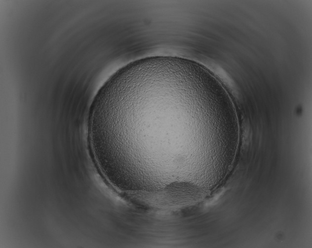 X0000093530896200710191351