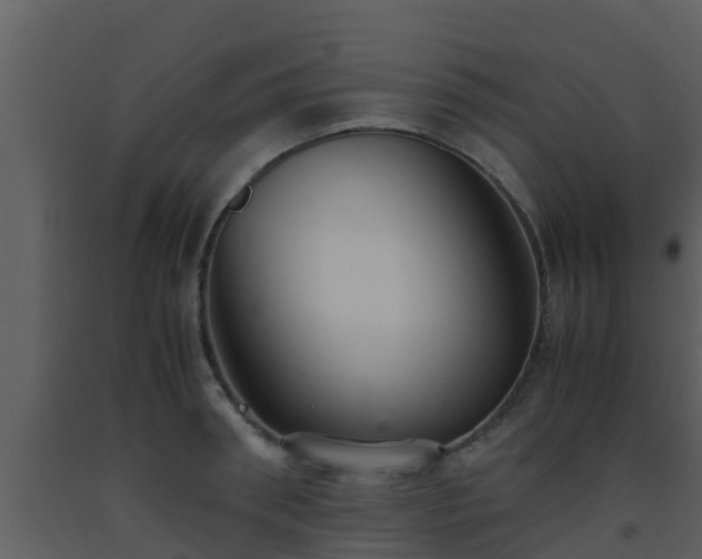 X0000093530898200710191351