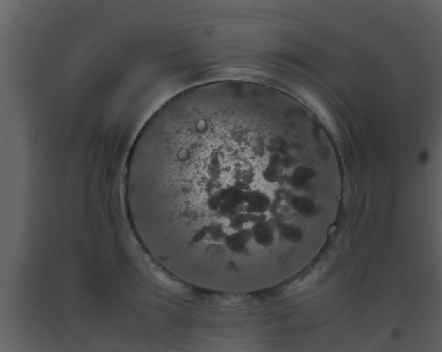 X0000093530899200710191351