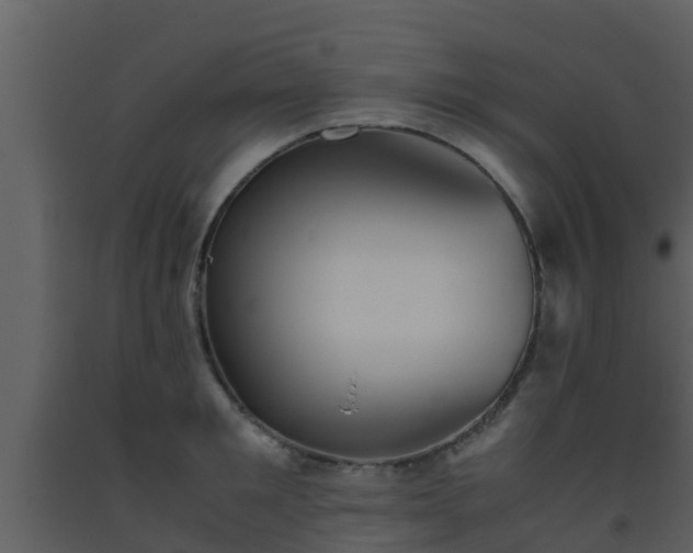 X0000093530901200710191351