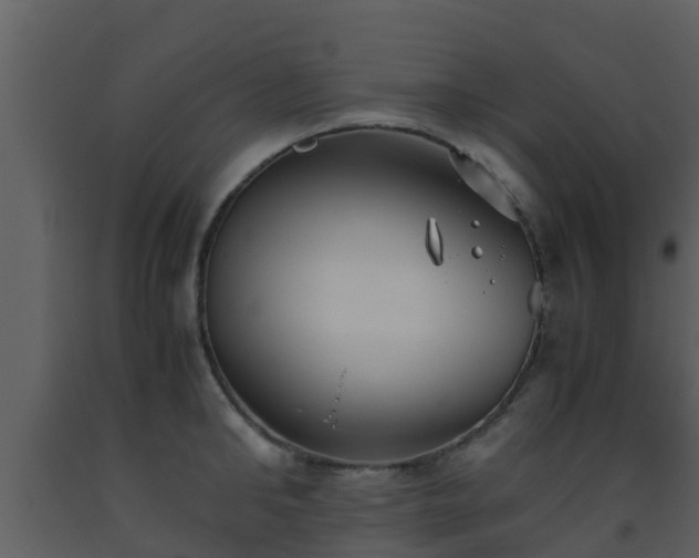 X0000093530902200710191351