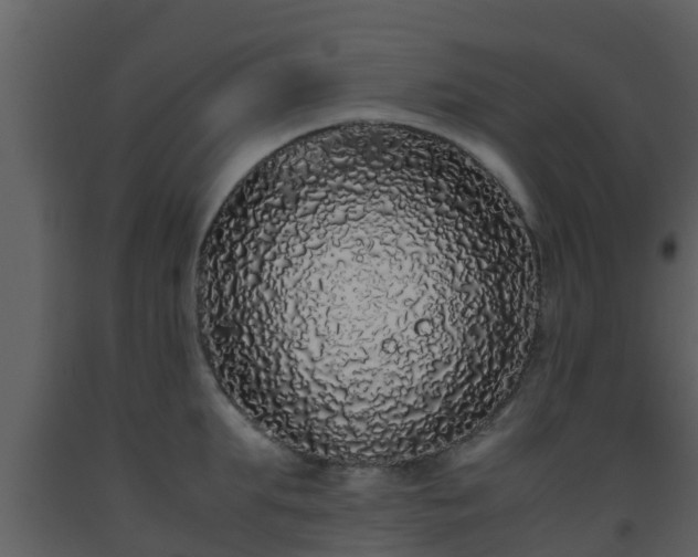 X0000093530903200710191351