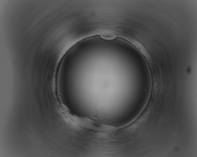 X0000093530904200710191351