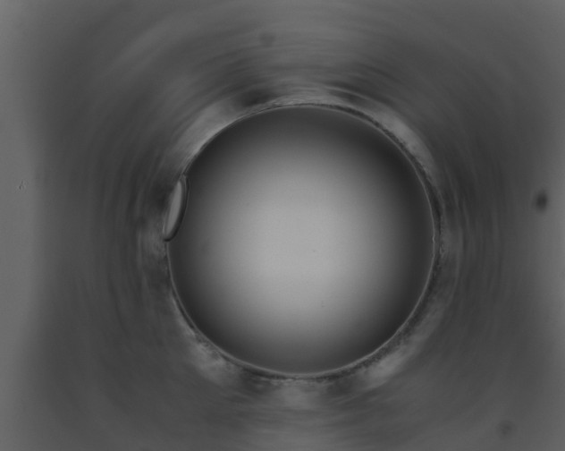 X0000093530905200710191351
