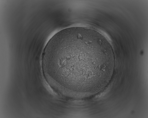 X0000093530907200710191351