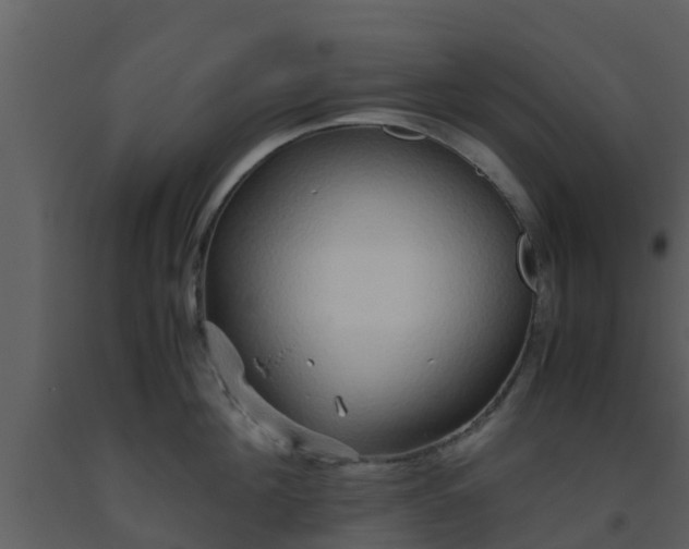 X0000093530908200710191351