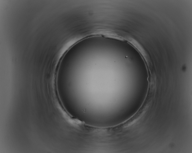 X0000093530909200710191351